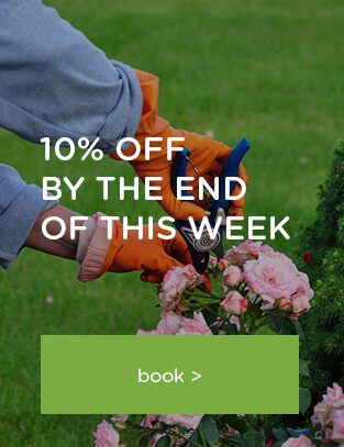  London customers gardening removal service offer book by the end of the week
